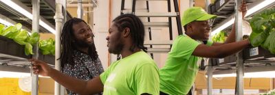 A Bronx School Garden Program: Serving Up Good Hydroponically